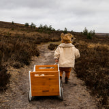 Toybox & Walker