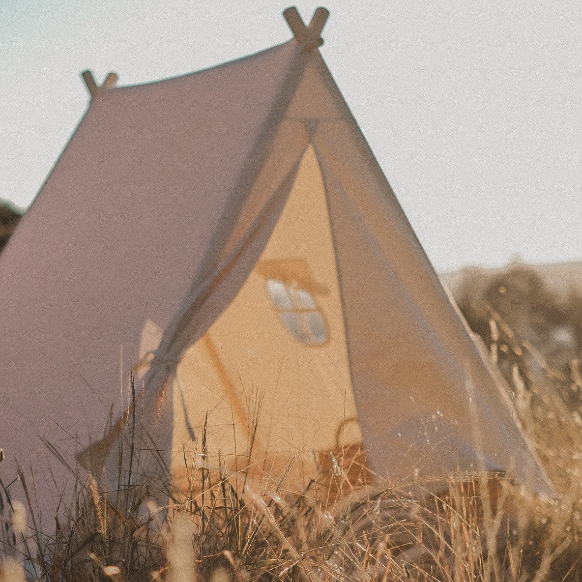 Indoor/Outdoor Play Tent