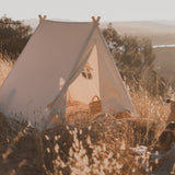 Indoor/Outdoor Play Tent