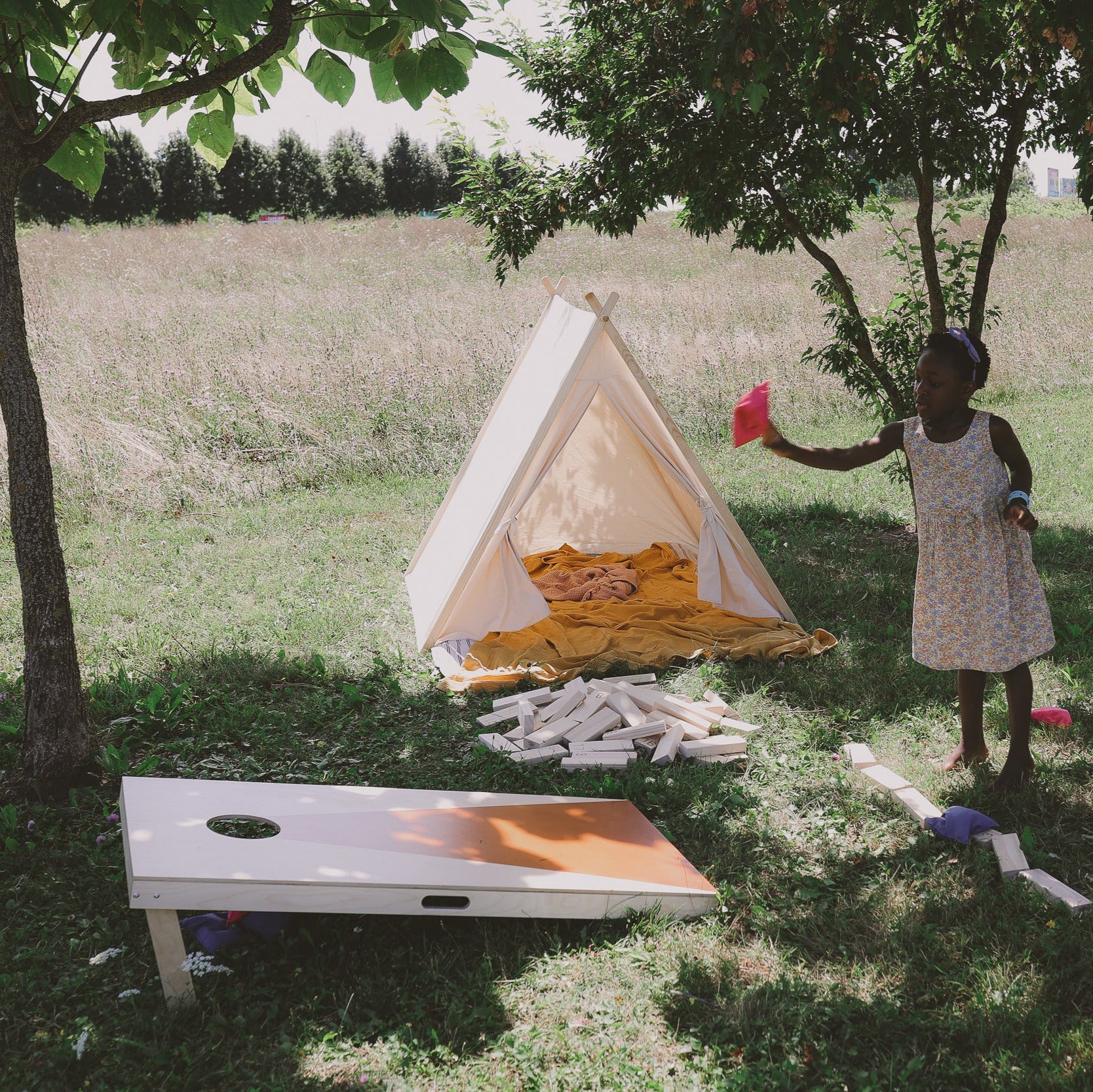 Cornhole Game