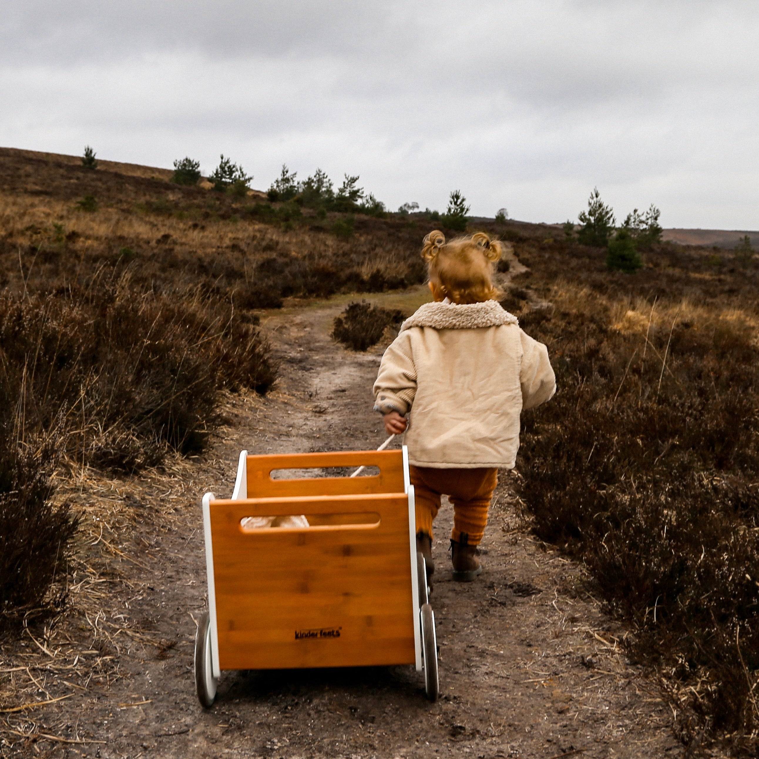 Toybox & Walker