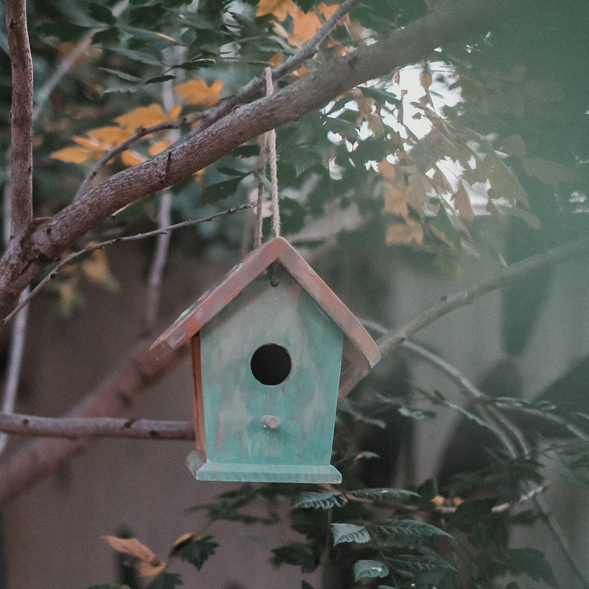 Birdhouse