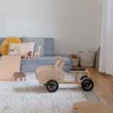 Cargo Bike