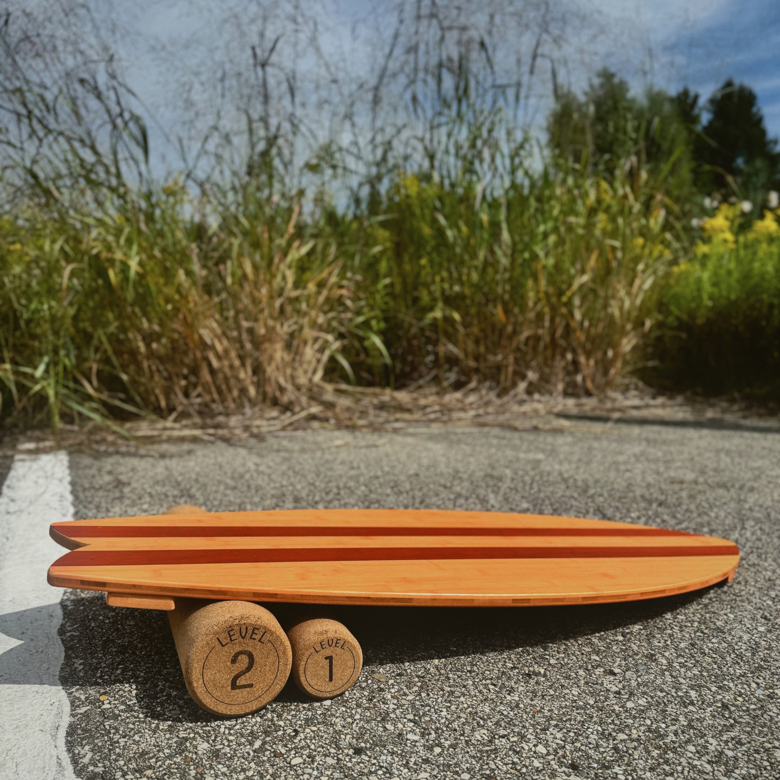 Balance Surfer