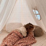 Indoor/Outdoor Play Tent