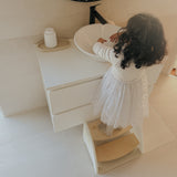 Step Stool
