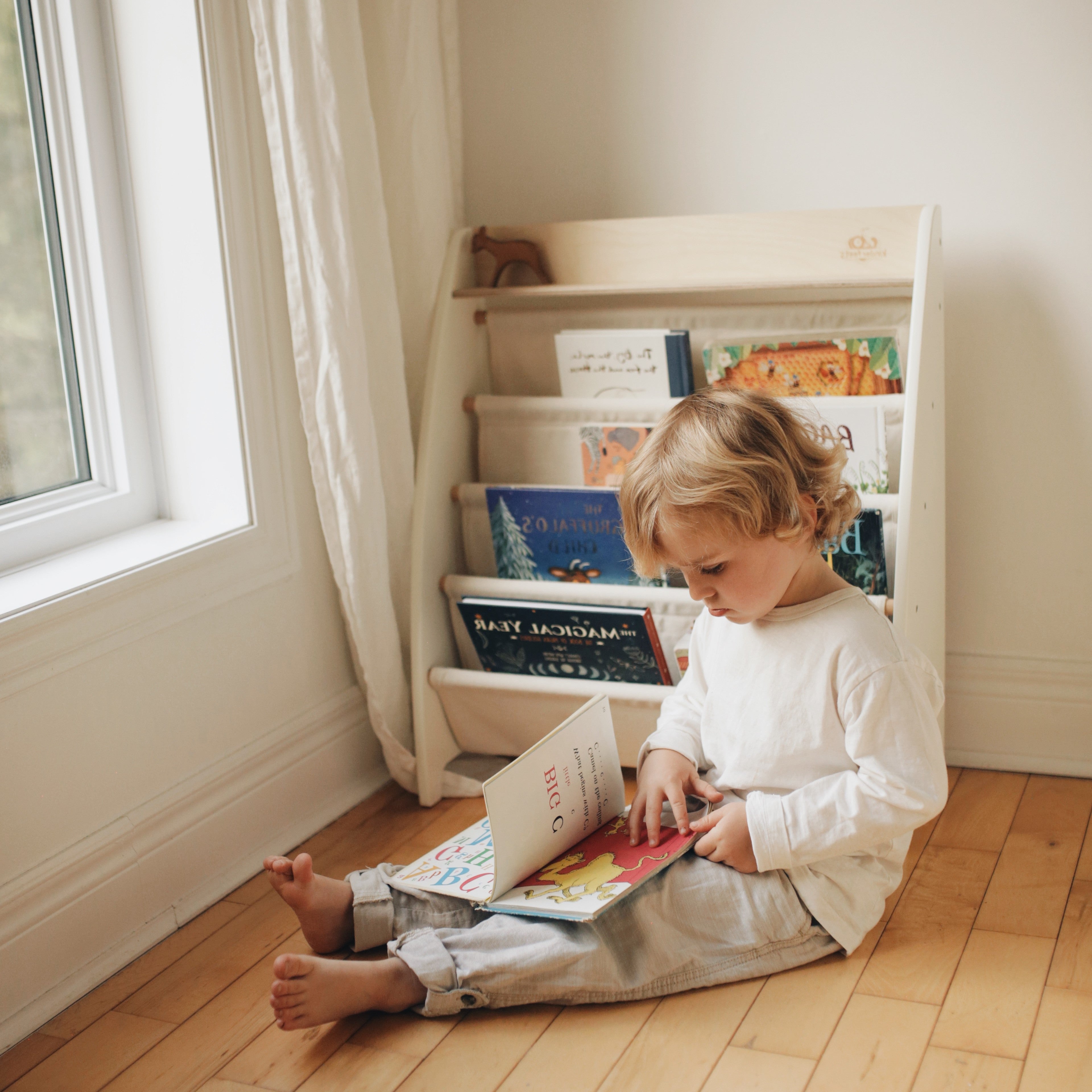 Sling Bookshelf