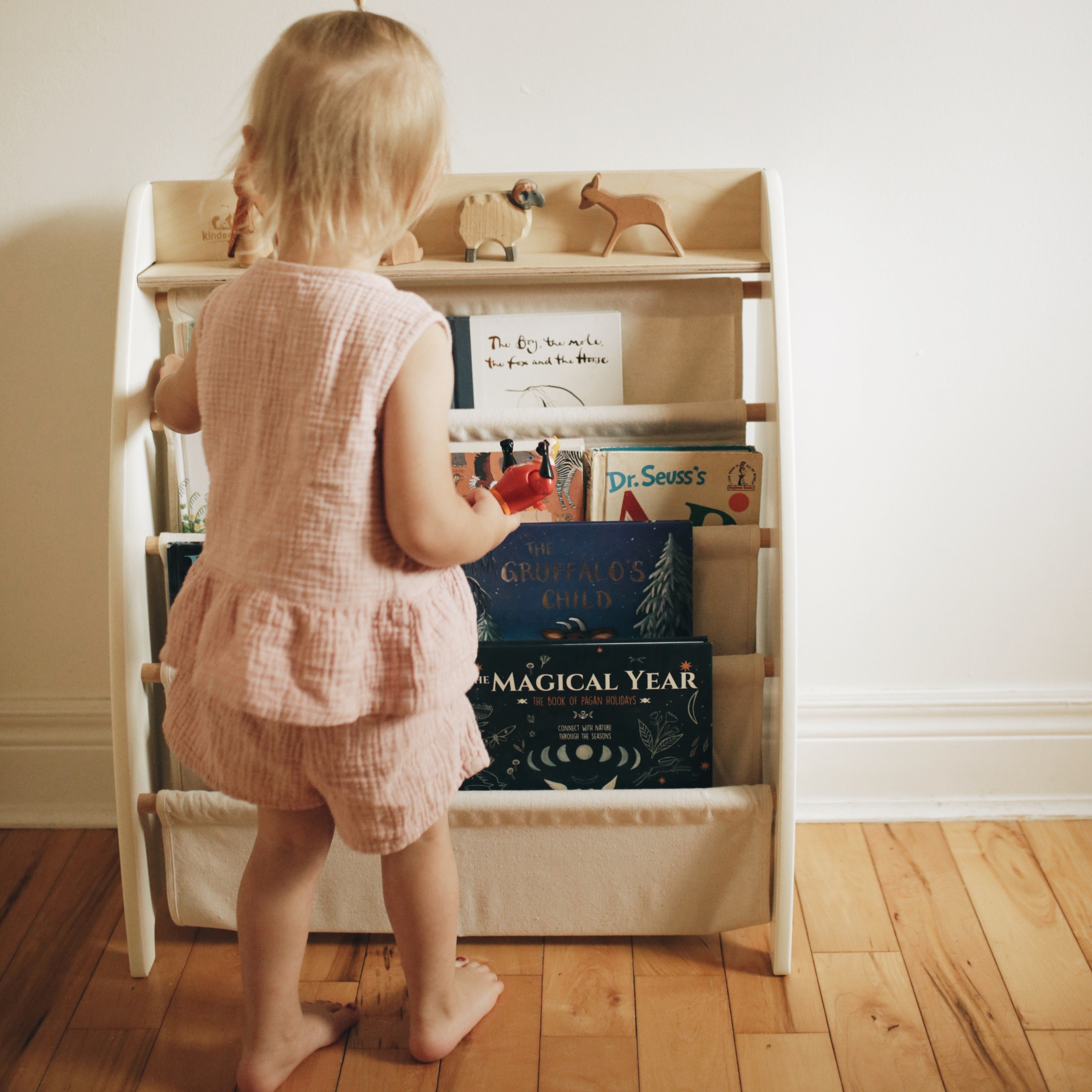 Sling Bookshelf