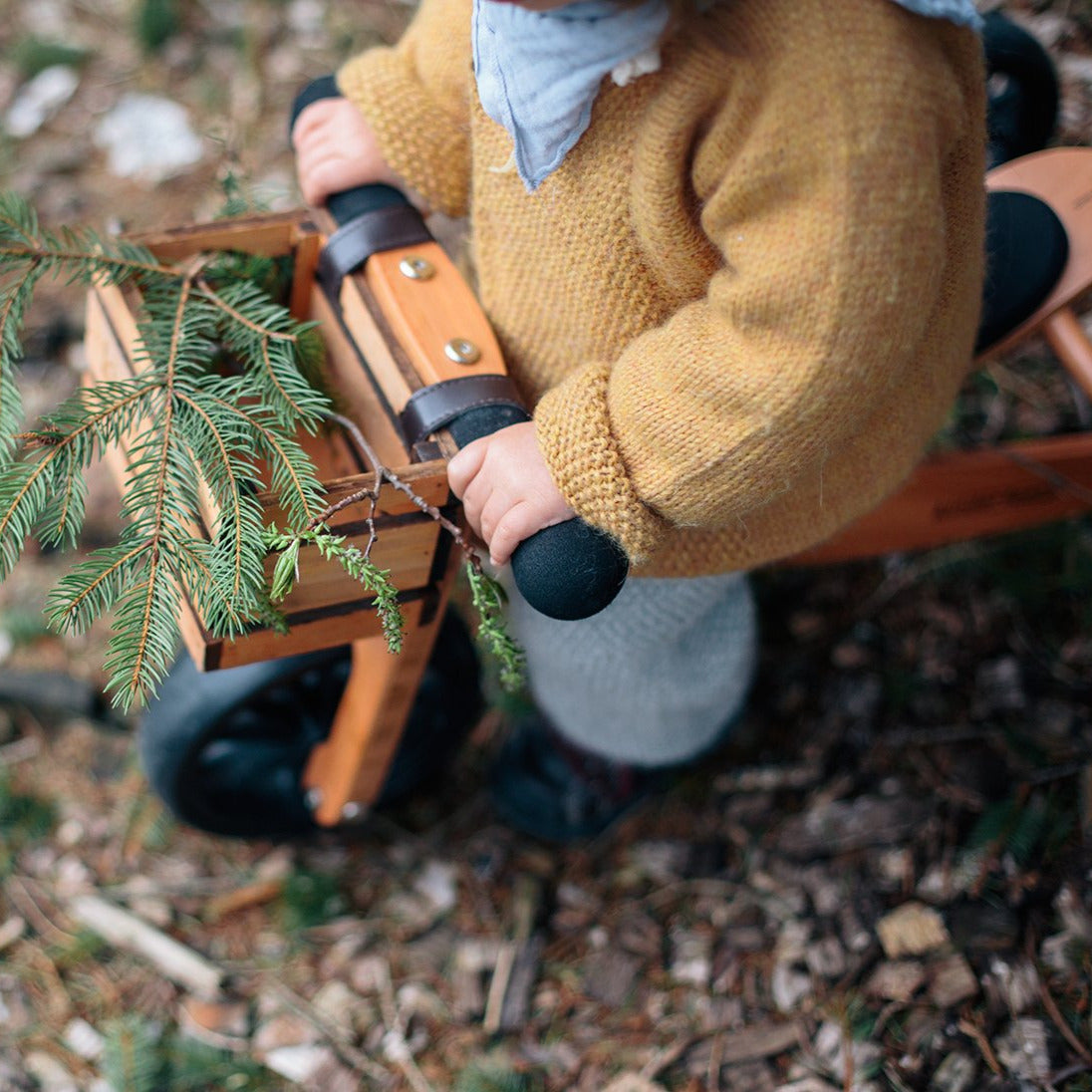 Wooden Bike Crate